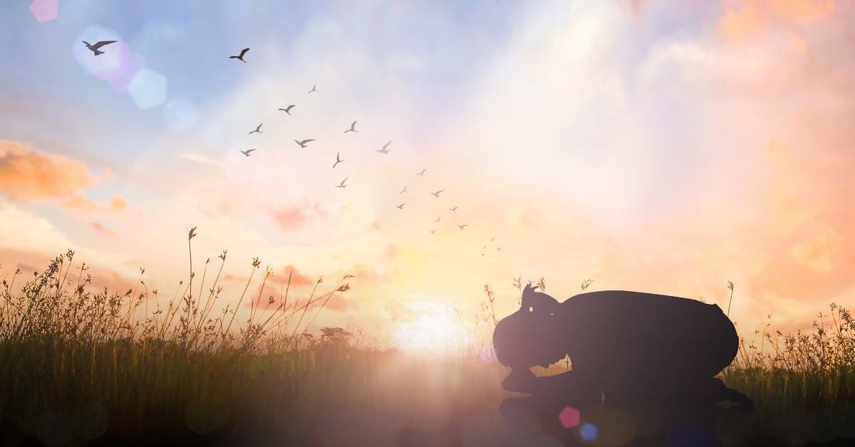 Blog44